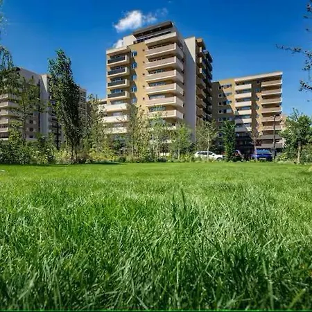 Sb Nest * Brasov