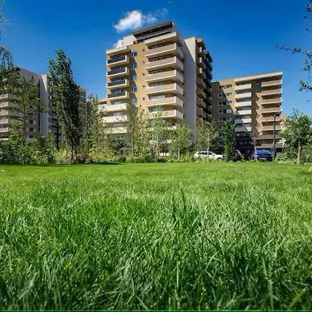 Sb Nest * Brașov