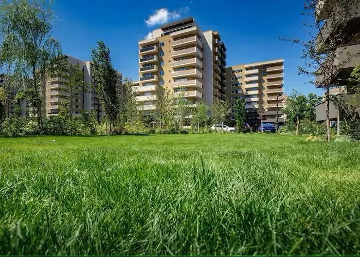 Sb Nest * Brașov
